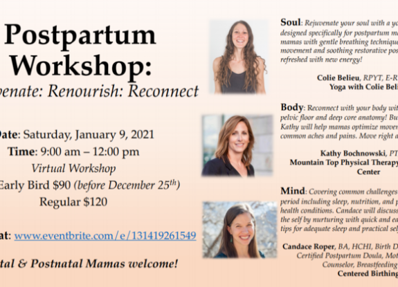 Postpartum Workshop On January 9