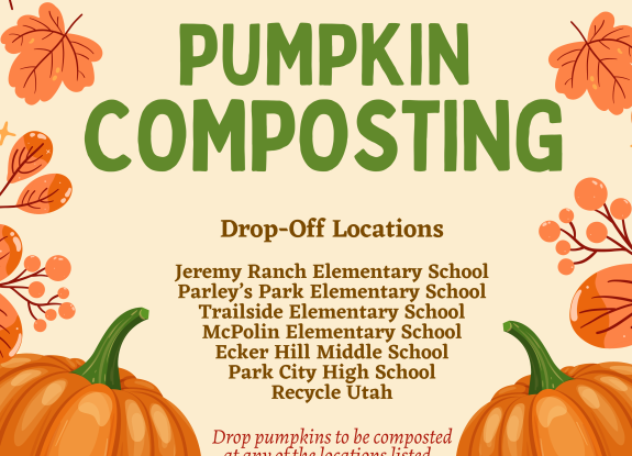 Pumpkin Composting is Back!